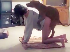 Husband Fuck With Dog His Wife